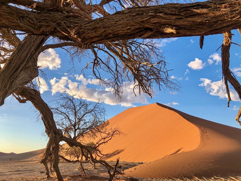 Im Sossusvlei haben sich vor ca. 5 Millionen Jahren in einem ehemaligen lehmigen, ausgetrockneten Flussbett Dünen gebildet. Es ist bis heute eine der spektakulärsten Landschaften Namibias. Wegen der spärlichen Regenfälle in der Region schaffen es nur wenige Bäume zu überleben. – Bild: ORF 2
