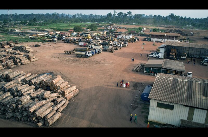 Tropenholz nutzen ohne den Wald zu zerstören – für dieses Ziel kooperieren im Norden der Republik Kongo zwei Holzunternehmen mit Naturschützern. – Bild: ARTE /​ © Längengrad Filmproduktion