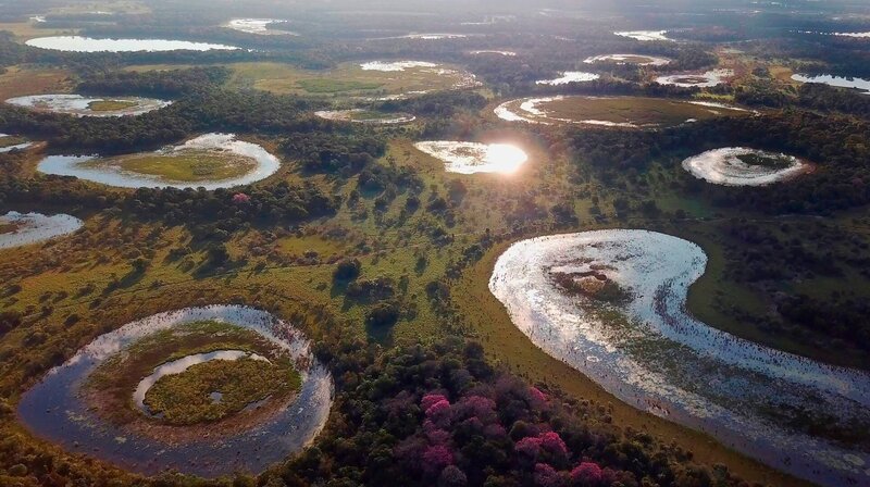 Überall im südliches Pantanal gibt es Seen, die das Land wie riesige Punkte übersähen – Bild: rbb/​NDR/​Doclights GmbH/​coraxfilm