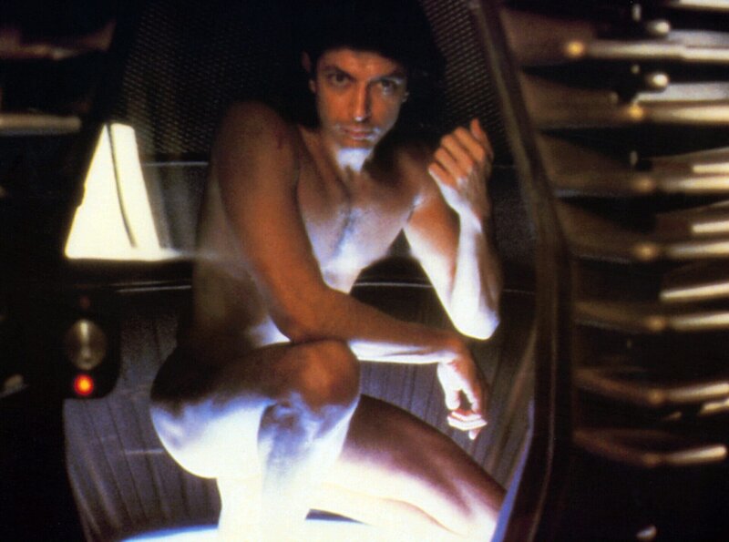 Die Fliege – Bild: ARD Degeto/​20th Century Fox