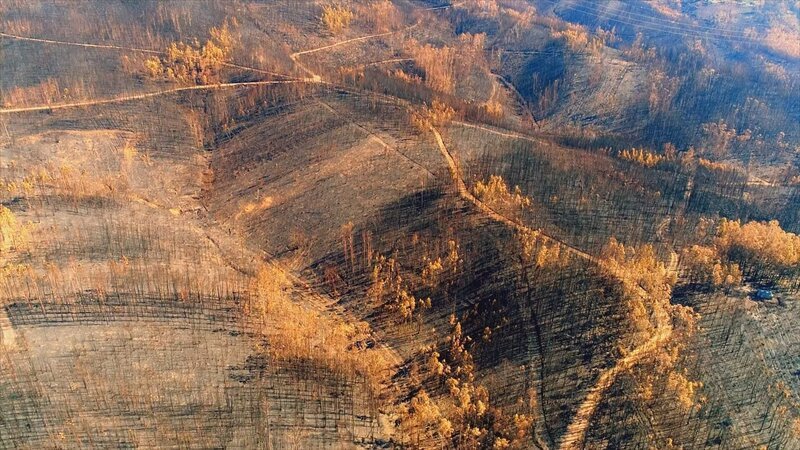 Portugal – Von einem Waldbrand verbrannte Landschaft in der Region Pedrógão Grande, Portugal. (National Geographic) – Bild: National Geographic Lizenzbild frei