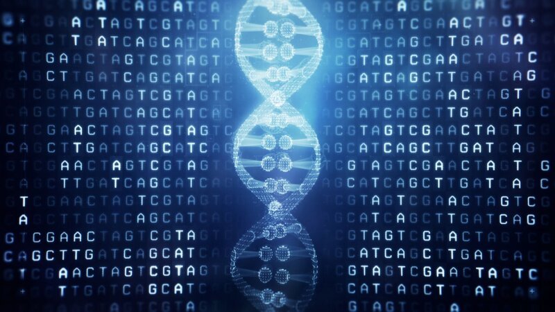 Ein DNA-Strang +++ – Bild: RTL /​ WildBear Entertainment /​ Horizonz