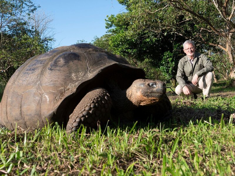 Christopher Clark besucht die Riesenschildkröten der Galapagos-Inseln. – Bild: Alexander Hein /​ ZDF und Alexander Hein /​ zdf /​ © History /​ ZDF und Alexander Hein.