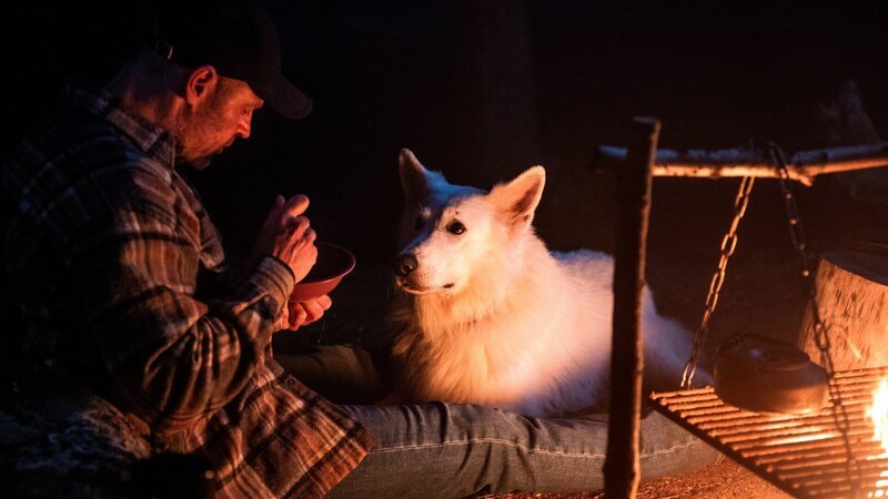 Niels (Jacob Lohmann) kümmert sich um „White“, den Hund seines verstorbenen Kameraden Balboa. – Bild: ZDF und Mike Kollöffel./​Mike Kollöffel