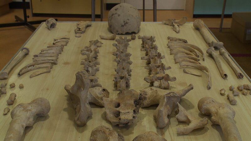 Das in Lewes ausgegrabene Skelett wird untersucht um herauszufinden, aus welcher Zeit die Knochen stammen. – Bild: ZDF und Jeremy Freeston