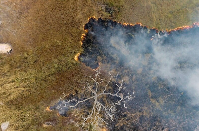 Mit der Technik des Cultural Burning der Aboriginal People wird gezielt trockenes Laub und Unterholz verbrannt. – Bild: ZDF /​ © Andre Eavis /​ © Andre Eavis