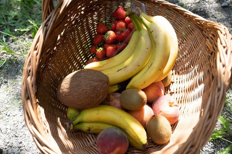 Form und Farbe von Früchten sind kein Zufall – sondern eine Überlebensstrategie. – Bild: ServusTV /​ Bilderfest