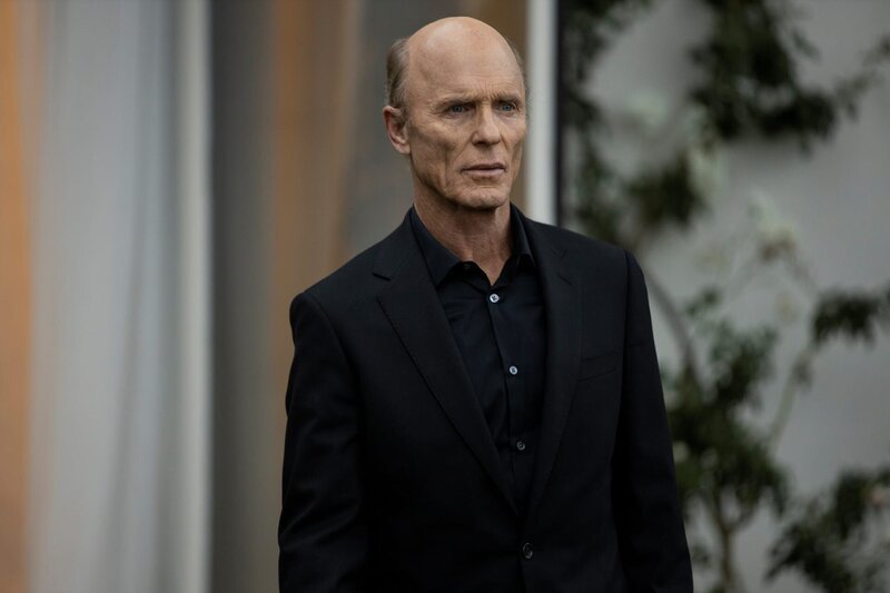 Man in Black (Ed Harris) – Bild: Die Verwendung ist nur bei redak /​ HBO /​ © Home Box Office, Inc. All rights reserved. HBO® and all related programs are the property of Home Box Office, Inc