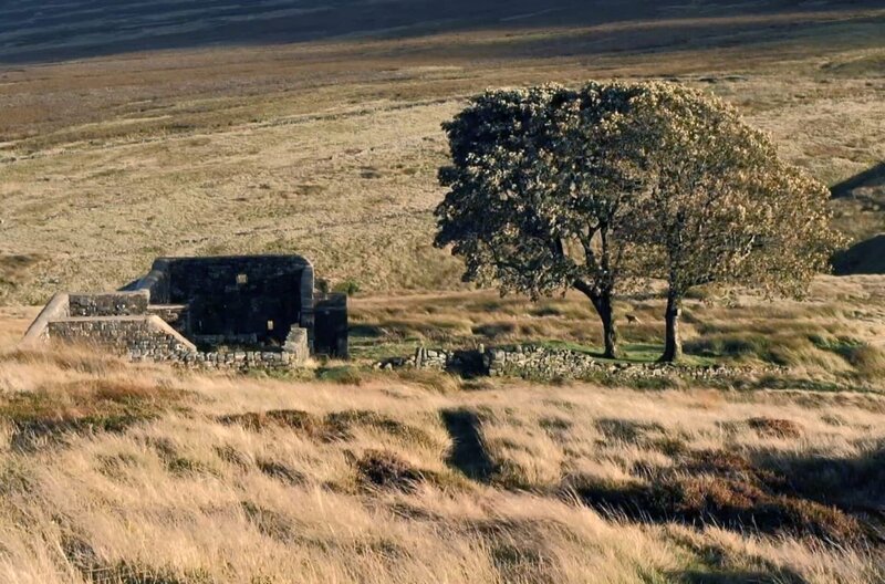 Die Ruine Top Withens in den Hochmooren von Yorkshire soll Emily als Inspiration für das Wohnhaus der Familie Earnshaw in ihrem Roman „Sturmhöhe“ gedient haben. – Bild: Martine Saada /​ © Martine Saada
