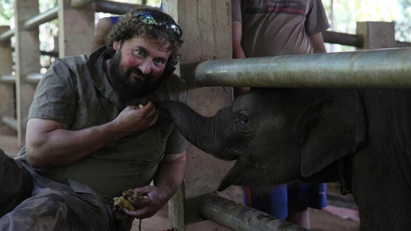 Mit Hilfe modernster Ausrüstung haben die Tierärzte eine riesige Aufgabe, um die Elefanten wieder gesund zu pflegen. – Bild: TVNOW/​ © Maverick TV & all3media international
