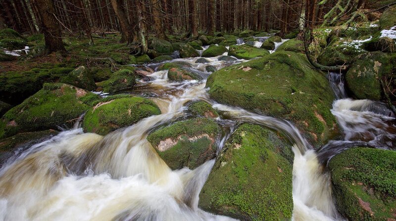 Der Harz ist berühmt für seine zahlreichen Gewässer. – Bild: NDR/​DocLights GmbH/​Uwe Anders/​Uwe Anders