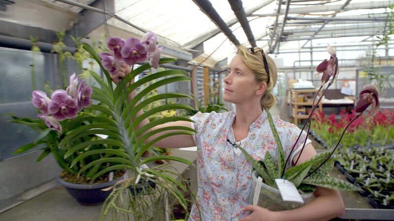 Marei Karge züchtet Orchideen in Dahlenburg. – Bild: ZDF/​Docstation