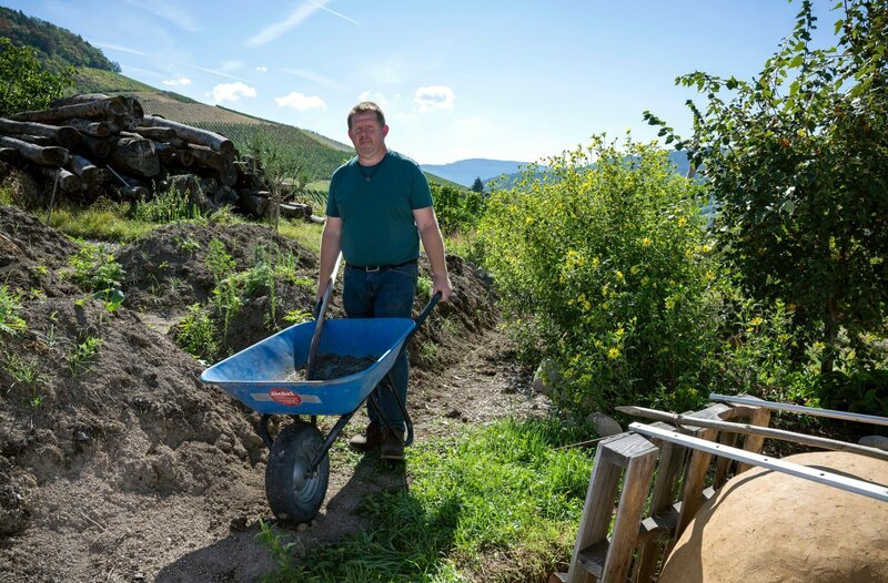 Einen Weinberg bei Bühl in ein Selbstversorgerparadies umzugestalten ist die Vision von Frank Fröhlich. Der Winzersohn wollte den konventionellen Rebenanbau aus ökologischen Gründen nicht fortführen und versucht nach den Regeln der Permakultur den ausgelaugten Boden wieder zu beleben. – Bild: WDR/​Melanie Grande