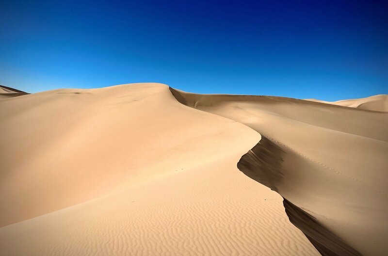 Die Mongolei zeichnet sich durch ihre landschaftliche Vielfalt aus, wozu auch das Khongoryn Els gehört, ein gigantisches Dünenfeld in der Wüste Gobi. – Bild: Christopher Gerisch / Die Mongolei zeichnet sich durch ihre landschaftliche Vielfalt aus, wozu auch das Khongoryn Els gehört, ein gigantisches Dünenfeld in der Wüste Gobi. Die Mongolei zeichnet sich durch ihre landschaftliche Vielfalt aus, wozu auch das Khongoryn Els gehört, ein gigantisches Dünenfeld in der Wüste Gobi. – Bild: Christopher Gerisch / Die Mongolei zeichnet sich durch ihre landschaftliche Vielfalt aus, wozu auch das Khongoryn Els gehört, ein gigantisches Dünenfeld in der Wüste Gobi.