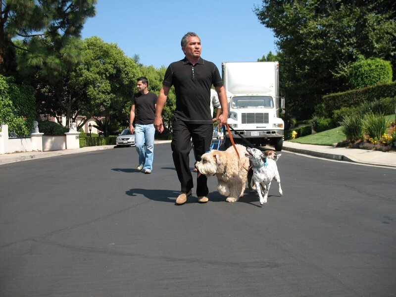 Der Hundeprofi Cesar Millan (r.) ist momentan der berühmteste und gefragteste Experte in Sachen Hundetraining … – Bild: Rive Gauche Intern. Television Lizenzbild frei