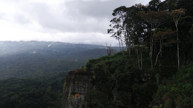 Hazen am Rand einer Bergwand mit Blick auf den dichten Regenwald von Paruima. (National Geographic/​James Levelle) – Bild: National Geographic /​ James Levelle /​ National Geographic/​James Levelle