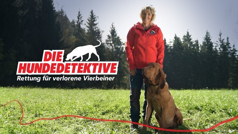 Das Keyart zu „Die Hundedetektive – Rettung für verlorene Vierbeiner“ +++ – Bild: RTL