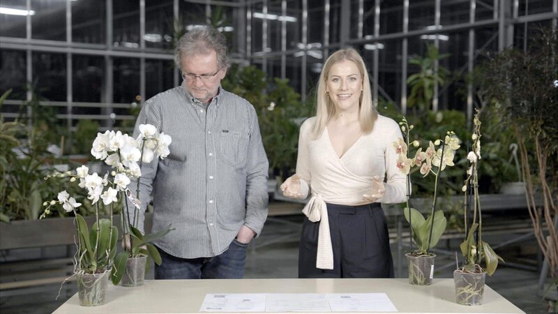 Der Blumen- und Zimmerpflanzen-Check – Bild: ORF/​Neulandfilm