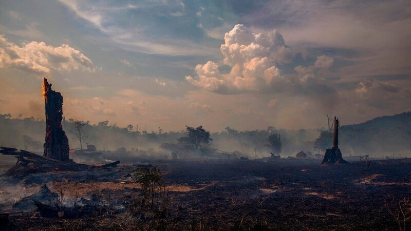 Im brasilianischen Amazonasgebiet brennt der Regenwald an vielen Stellen – nicht nur in Altamira, im nördlichen Bundesstaat Pará. – Bild: ZDF und afp /​ laet