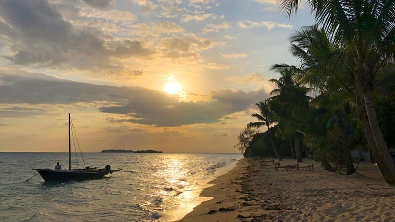 Die palmengesäumten Strände Sansibars erinnern an ein tropisches Paradies. – Bild: ZDF und Axel Gomille./​Axel Gomille