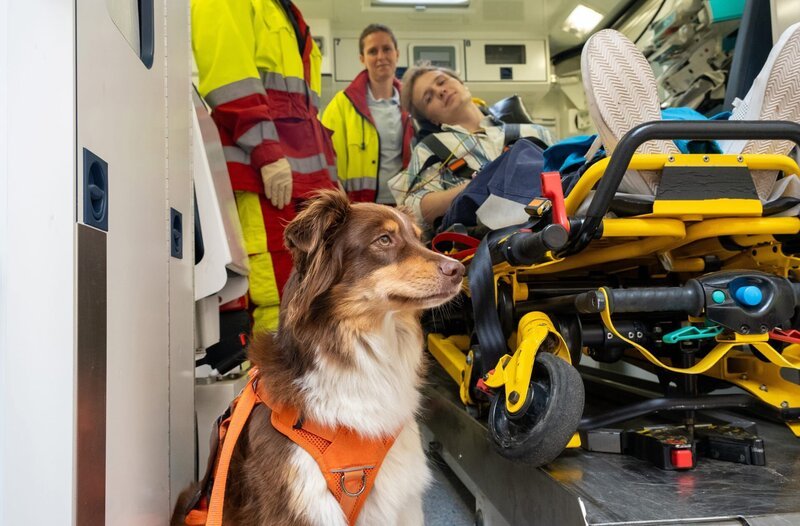 Laurenz Beninger (Hannes Linder) wird vom Rettungsteam (Komparsen) gemeinsam mit seinem Hund eingeliefert. Balu ist eigentlich Epilepsiewarnhund, doch dieses Mal hat er nicht gewarnt. – Bild: MDR/​Saxonia Media/​Sebastian Kiss