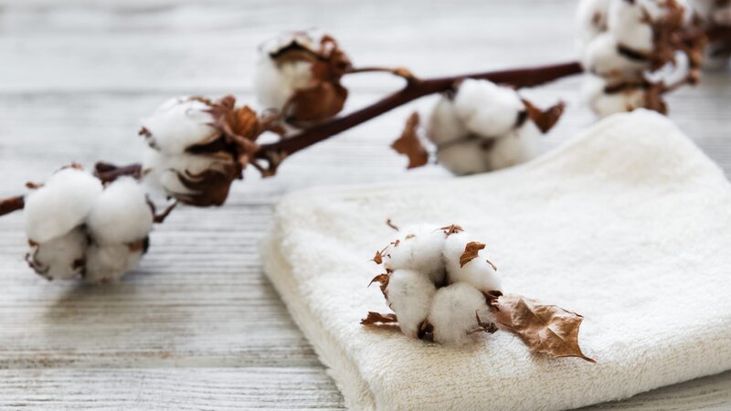 cotton flower and towel on a old wooden table – Bild: Almaje /​ Getty Images/​iStockphotoGettyIma /​ iStockphoto /​ This content is subject to copyright.
