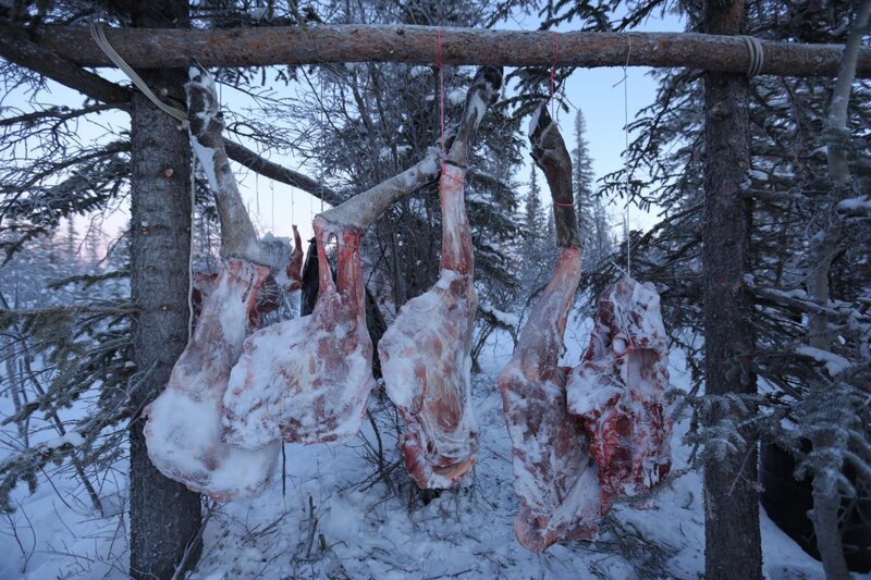 Moose carcass hanging outside of Heimo and Edna’s cabin. – Bild: Animal Planet /​ Discovery Communications