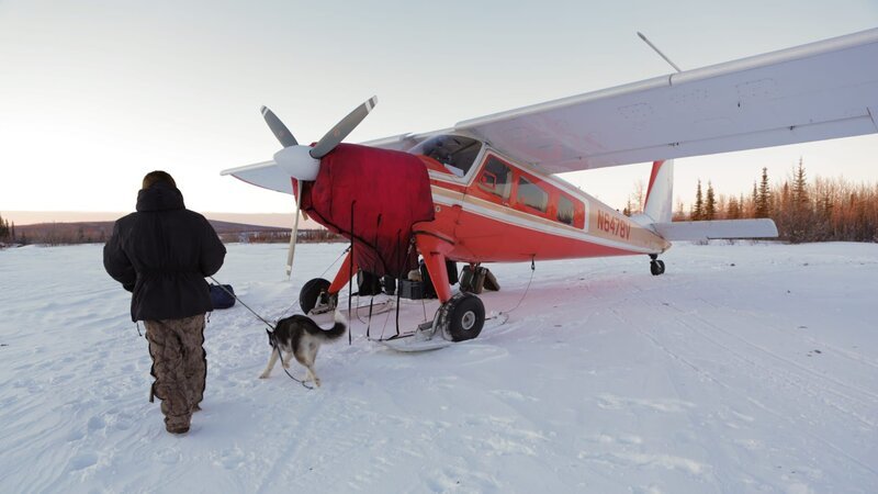 Bob with Ruggar on a leash next to an airplane. – Bild: Animal Planet /​ Discovery Communications
