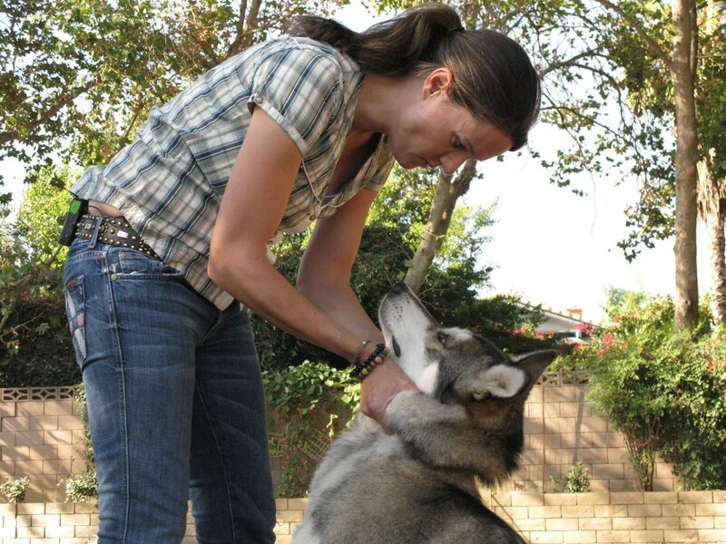 Die Wolf-Expertin Jennifer McCarthy steht heute dem Hundeflüsterer in einem ganz besonderen Fall zur Seite … – Bild: Rive Gauche Intern. Television Lizenzbild frei