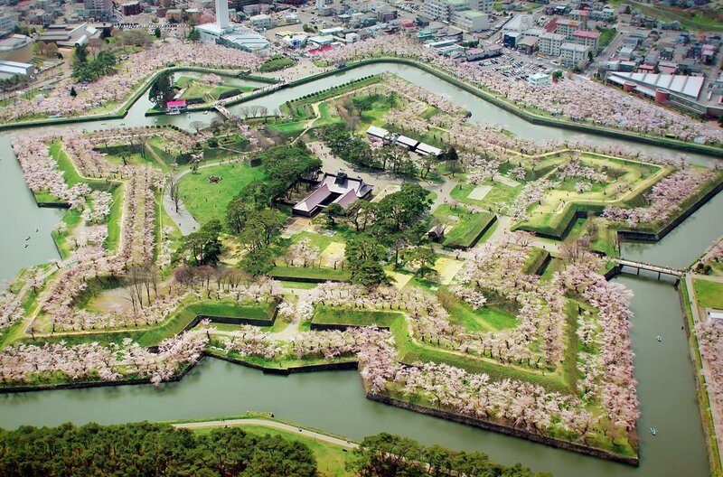 Hakodate liegt im Süden Hokkaidos. Die sternförmige Festung Goryokaku wurde ab 1860 zum Schutz der Stadt und als Behördenstandort errichtet. Seit Anfang des 20. Jahrhunderts ist sie ein öffentlicher Park, in dem im Frühling 1.600 Kirschbäume blühen. – Bild: phoenix/​ZDF/​arte/​NHK/​Gedeon