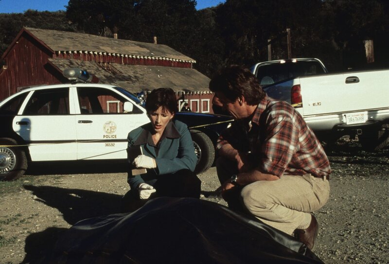 Bat Attack - Angriff der Fledermäuse – Bild: Tele 5