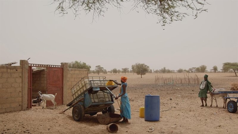 Schau in meine Welt – Fatou kämpft! Gegen Wassermangel 4 – Bild: SWR/​Irja von Bernstorff