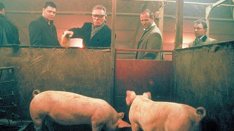 Snatch - Schweine und Diamanten – Bild: ZDF und Sony./​Sony