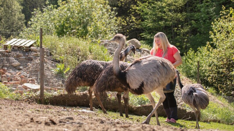 Aus den Eiern ihrer Emus und Nandus macht Gucci-Bäuerin Nina Bartl Eierlikör. – Bild: NDR/​BR/​Martin Bolle