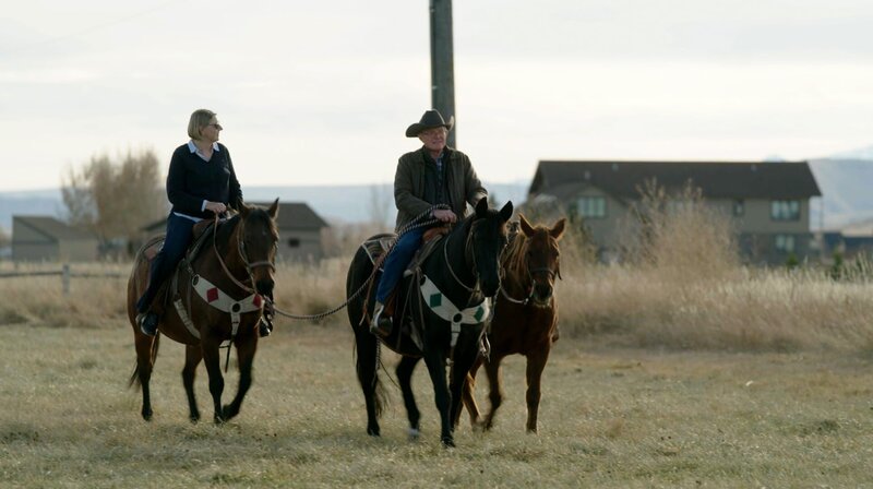 WTF, USA?! Trump gegen Biden – Bild: WDR