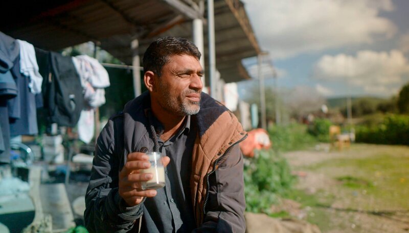 Naveed aus Pakistan erntet Oliven in Griechenland. – Bild: WDR/​Markus Zahn
