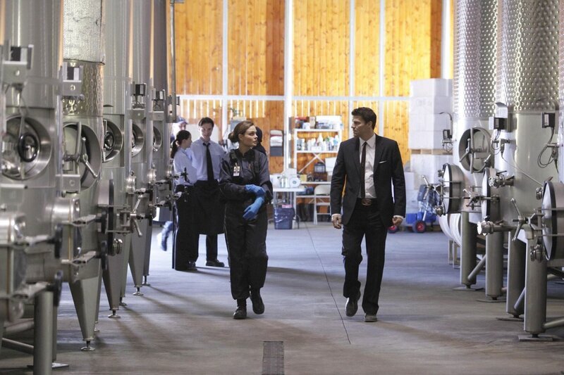 BONES: Brennan (Emily Deschanel, L) and Booth (David Boreanaz, R) investigate a vineyard where a decomposed body is found in a wine cask in the BONES episode „The Critic in the Cabernet“ airing Thursday, May 7 (8:00–9:00 PM ET/​PT) on FOX. ©2009 Fox Broadcasting Co. Cr: Richard Foreman/​FOX Bones_IV_25_03 – Bild: ATV2