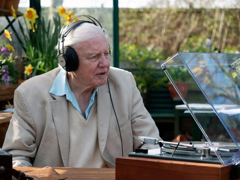 Sir David Attenborough im Richmond Park Frühjahr 2021. – Bild: ORF/​BBC/​Mike Birkhead