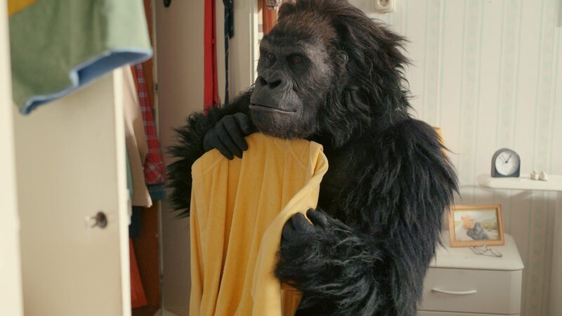 Steht mir das? Gorilla Benedict (Yaron Mesika) hat einen Sinn für Mode. – Bild: SWR/​AVROTROS/​Fiction Valley