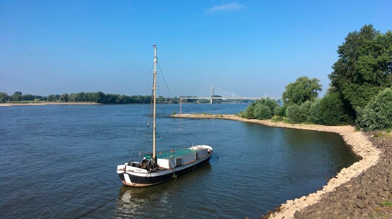 Mit solchen Schiffen sind bis vor 50 Jahren die Fischer auf dem Rhein unterwegs gewesen. Dieser sogenannte „Schokker“ liegt am Rheinufer bei Rees. – Bild: WDR/​Thomas Förster