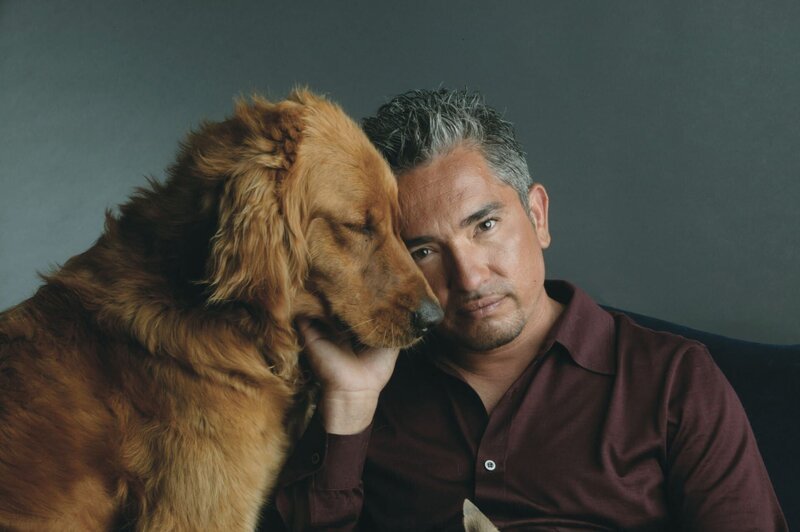Für Cesar Millan geht es nicht nur darum, Hunde auszubilden – es ist vielmehr ein Training für Hundebesitzer … – Bild: Rive Gauche Intern. Television /​ Alan Weissman Lizenzbild frei