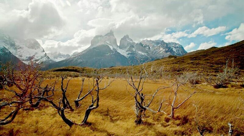 Im Süden Chiles liegt der Nationalpark „Torres del Paine“. – Bild: phoenix/​ZDF/​Casey Anderson
