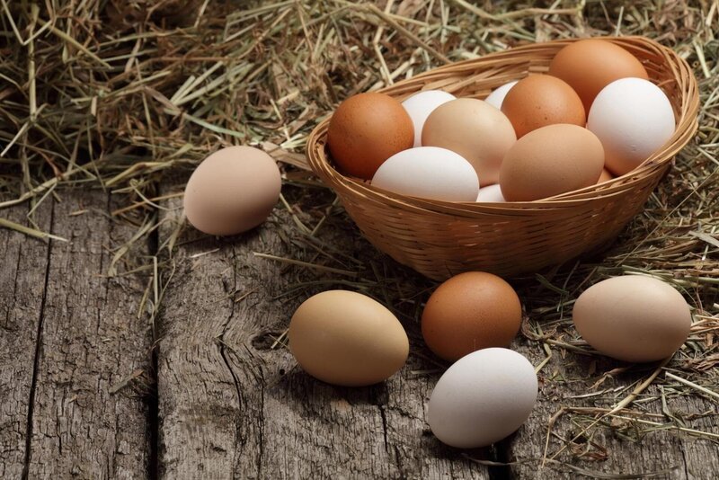 Eggs. – Bild: Shutterstock