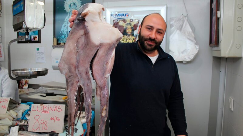 Ein Verkäufer auf einem Markt in Cadiz in Spanien präsentiert einen riesigen Tintenfisch. Weiteres Bildmaterial erhalten Sie unter www.br-foto.de. – Bild: BR/​Gerrit Mannes
