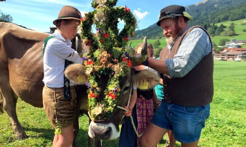 Bauer Reinhold (r) und Jona (l) bringen gemeinsam den opulenten Kopfschmuck bei Kuh „Lena“ an. Dieser wird auch „Fuikln“ genannt. – Bild: WDR/​Malin Büttner
