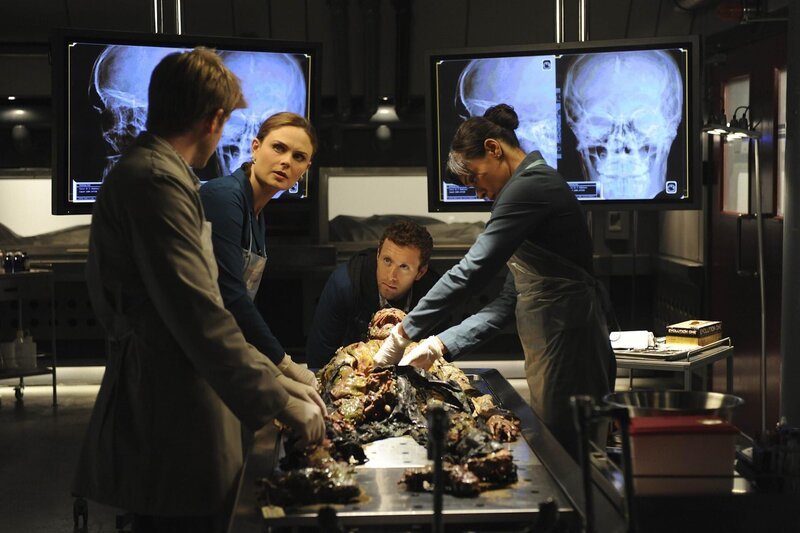 BONES: Brennan (Emily Deschanel, second from L), Hodgins (TJ Thyne, second from R) and Cam (Tamara Taylor, R) investigate the remains of a chicken farmer whose body is found mutilated on a river bank in the BONES episode „The Tough Man in the Tender Chicken“ – Bild: 2009–2010 Fox and its related entities. All rights reserved. /​ Ray Mickshaw Lizenzbild frei