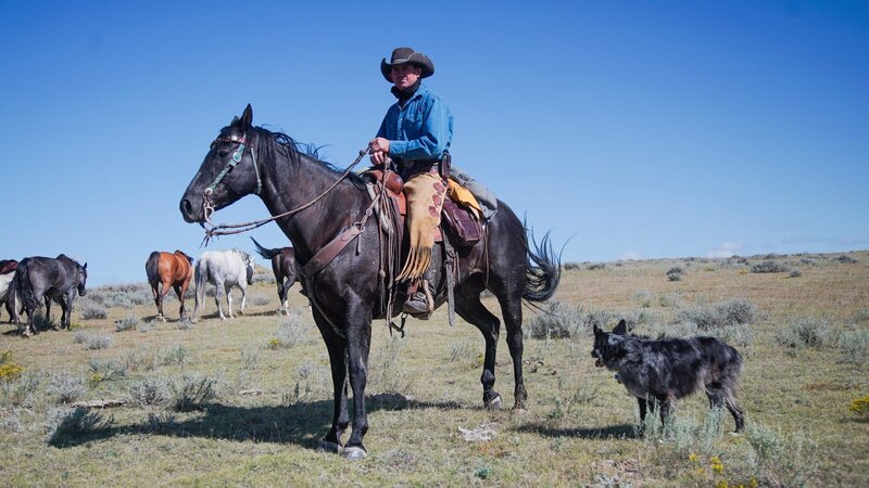 Clayton mit seinem Pferd und seinem Hund. – Bild: Discovery Communications, LLC Lizenzbild frei