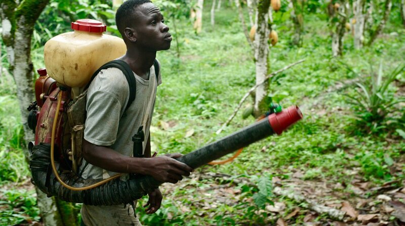 Ein 16-Jähriger muss ohne Schutz Pestizide versprühen. – Bild: WDR/​Michael Höft