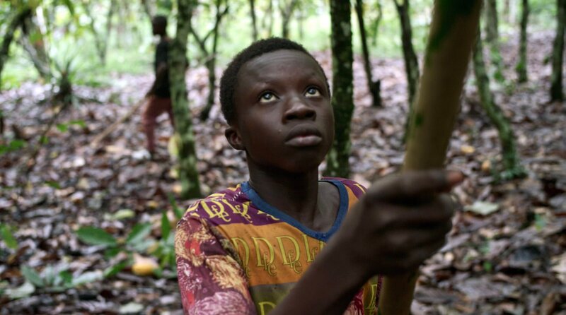 Die Wahrheit hinter dem Schokohasen – Bild: WDR/​Michael Höft