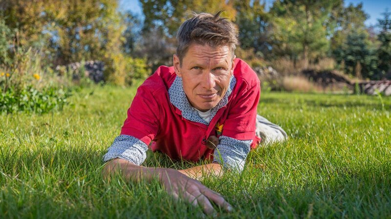 Peter Rasch auf dem Grün, das für viele Gärtner jedes Jahr wieder ein Kampf um Sieg oder Niederlage ist – Gartenthema Nummer eins: Rasen. – Bild: NDR/​Udo Tanske